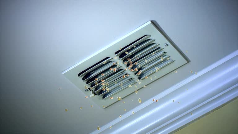 Best Ventilation Cleaning Services  in Elma Center, NY