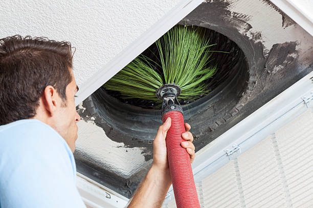 Best Air Vent Cleaning Services  in Elma Center, NY