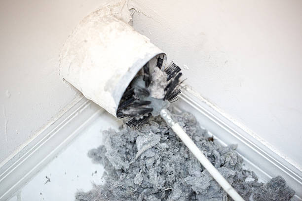 Best Affordable Duct Cleaning Services  in Elma Center, NY